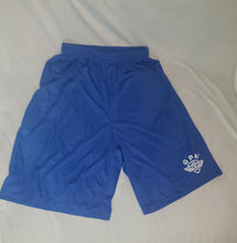 Load image into Gallery viewer, ATHLETIC SHORTS ( BLUE )
